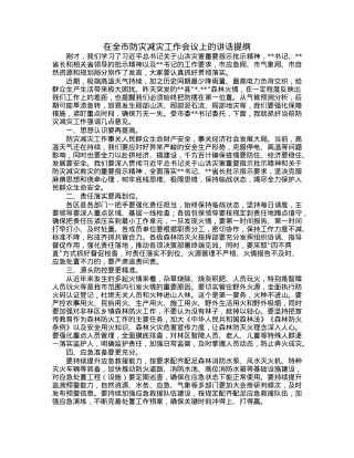 在全市防灾减灾工作会议上的讲话提纲.docx