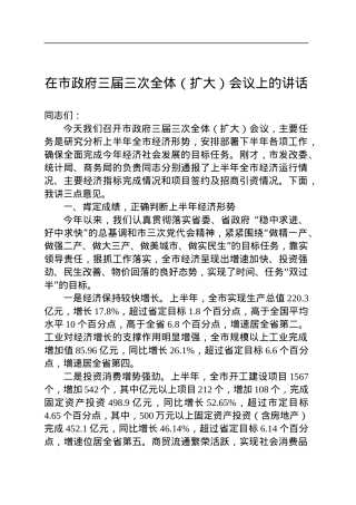 在市政府三届三次全体（扩大）会议上的讲话.docx