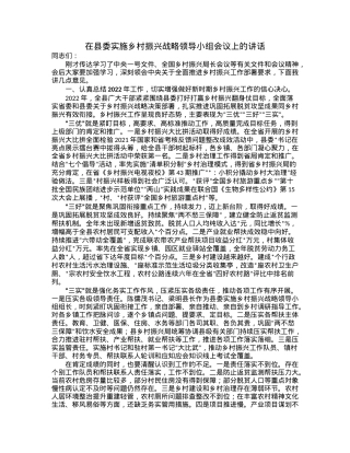 在县委实施乡村振兴战略领导小组会议上的讲话.docx