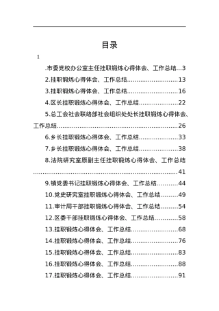 挂职锻炼心得体会、工作总结-17篇.docx