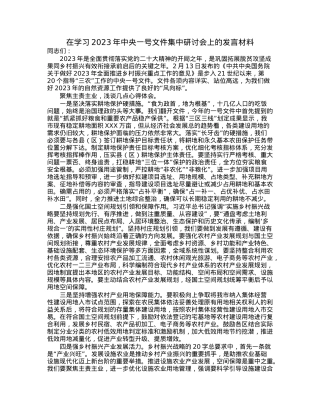 在学习2023年中央一号文件集中研讨会上的发言材料.docx