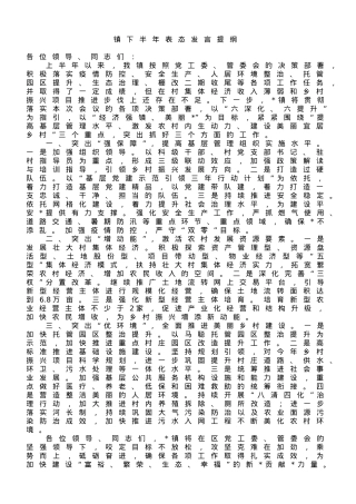 镇下半年表态发言提纲.doc