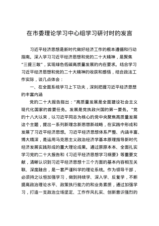 政法委书记在学习研讨习近平法治思想的发言.docx
