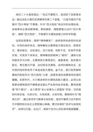 中心组发言：在新时代党的自我革命中化解“四种危险”.doc