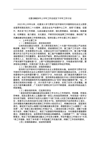 2023年纪委上半年工作总结 及下半年工作计划.docx