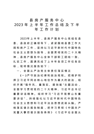 2023年上半年工作总结及下半年工作计划.doc