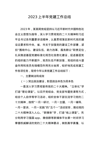 2023上半年党建工作总结以及下半年工作计划.doc