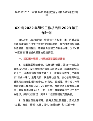 XX镇2022年组织工作总结和2023年工作计划.docx