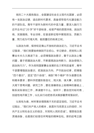 座谈发言：不负时代 争做有为青年干部.doc