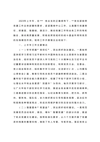 党支部2023年上半年工作总结及下半年工作计划.doc