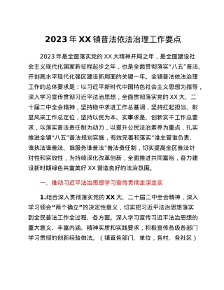 2023年XX镇普法依法治理工作要点.docx