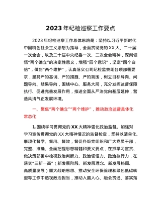 2023年纪检巡察工作要点.docx