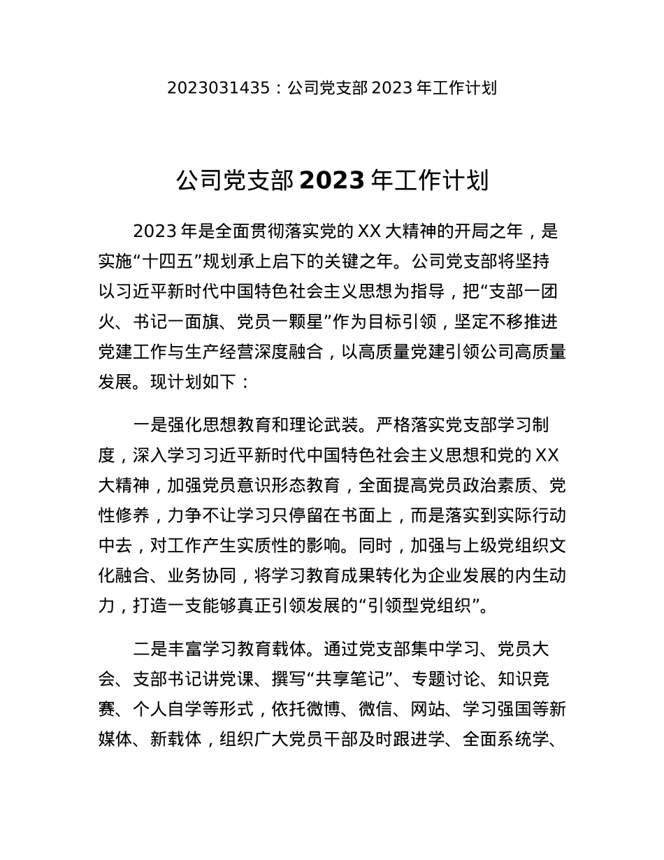 公司党支部2023年工作计划.docx_第1页