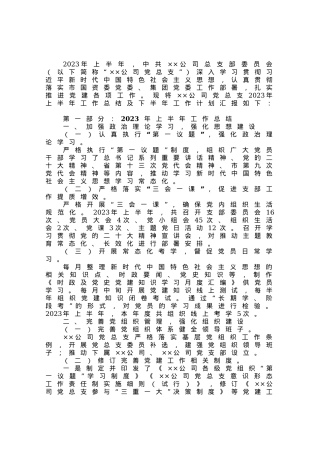 公司上半年党建工作总结及下半年计划.docx