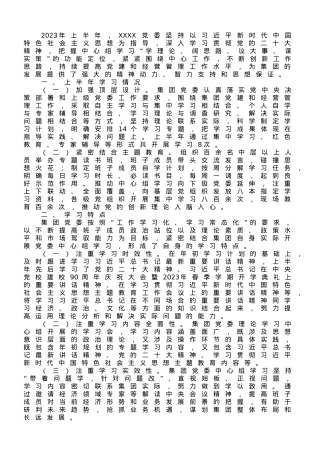 某集团党委理论学习中心组2023年上半年学习情况总结.doc