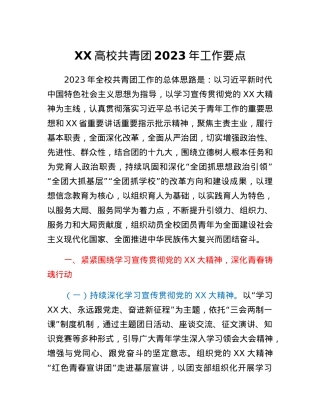 XX高校共青团2023年工作要点.docx