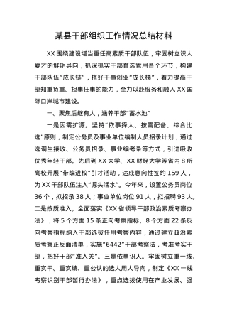 某县干部组织工作情况总结材料.docx