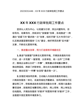XX年XXX行政审批局工作要点.docx
