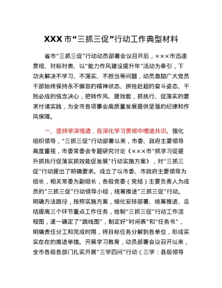 XX市三抓三促行动工作典型材料.docx