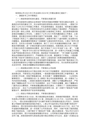 融资担保有限公司2023年度工作总结及2024年工作打算.doc