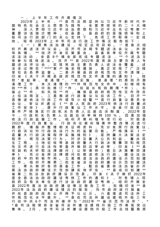 县司法局2023年上半年工作总结和下一步工作计划.doc