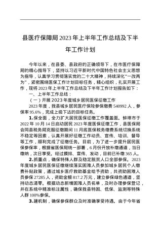 县医疗保障局2023年上半年工作总结及下半年工作计划（20230614）.docx