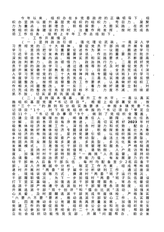 乡镇组织办2023年上半年工作总结及下半年计划.doc