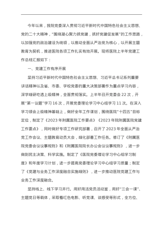 医院2023年党建工作总结.doc