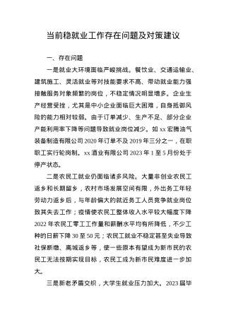 当前稳就业存在问题及对策建议.doc