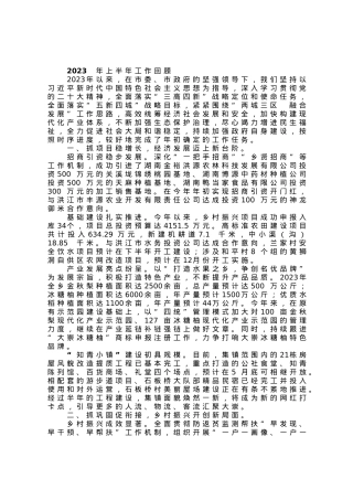 镇政府2023年上半年工作总结及下半年目标任务和工作安排.docx