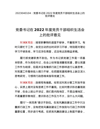 党委书记在2022年度党员干部组织生活会上的批评意见.docx