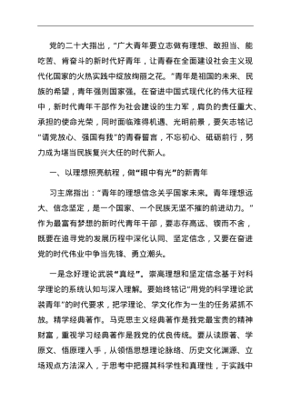 党课：矢志拼搏奋斗绽放绚丽青春.doc