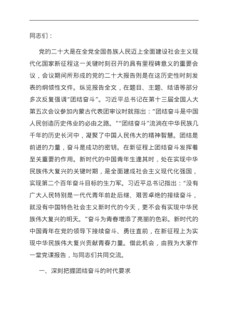 党课：团结引领广大青年在全面建设社会主义现代化国家的火热实践中贡献青春力量.doc