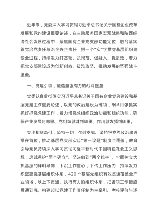 国企党建经验交流：党建引领 文化赋能 实字当先.doc