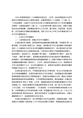 水利局上半年工作开展情况和下半年工作打算.docx