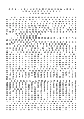 巡察民政局反馈意见整改专题民主生活会党组班子对照检查材料.doc