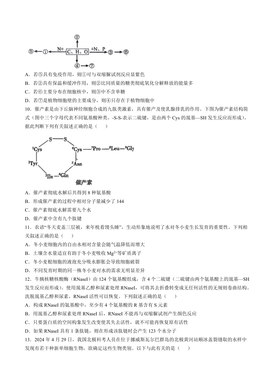 广州市第六中学2024-2025学年高一上学期期中考试生物试卷含答案.pdf_第3页