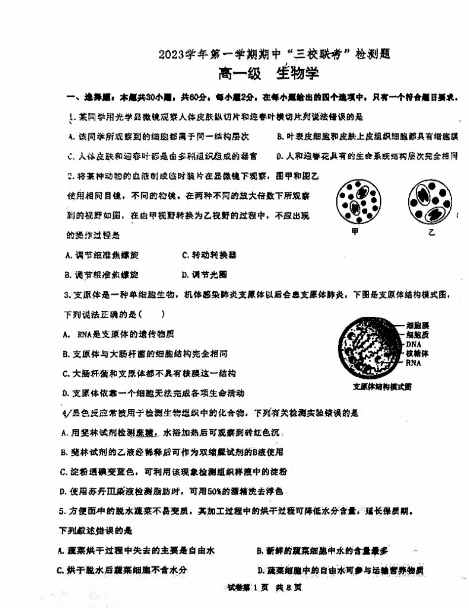 广州市第三中学、第四中学、培正中学2023-2024学年高一上学期期中考试生物试题.pdf_第1页