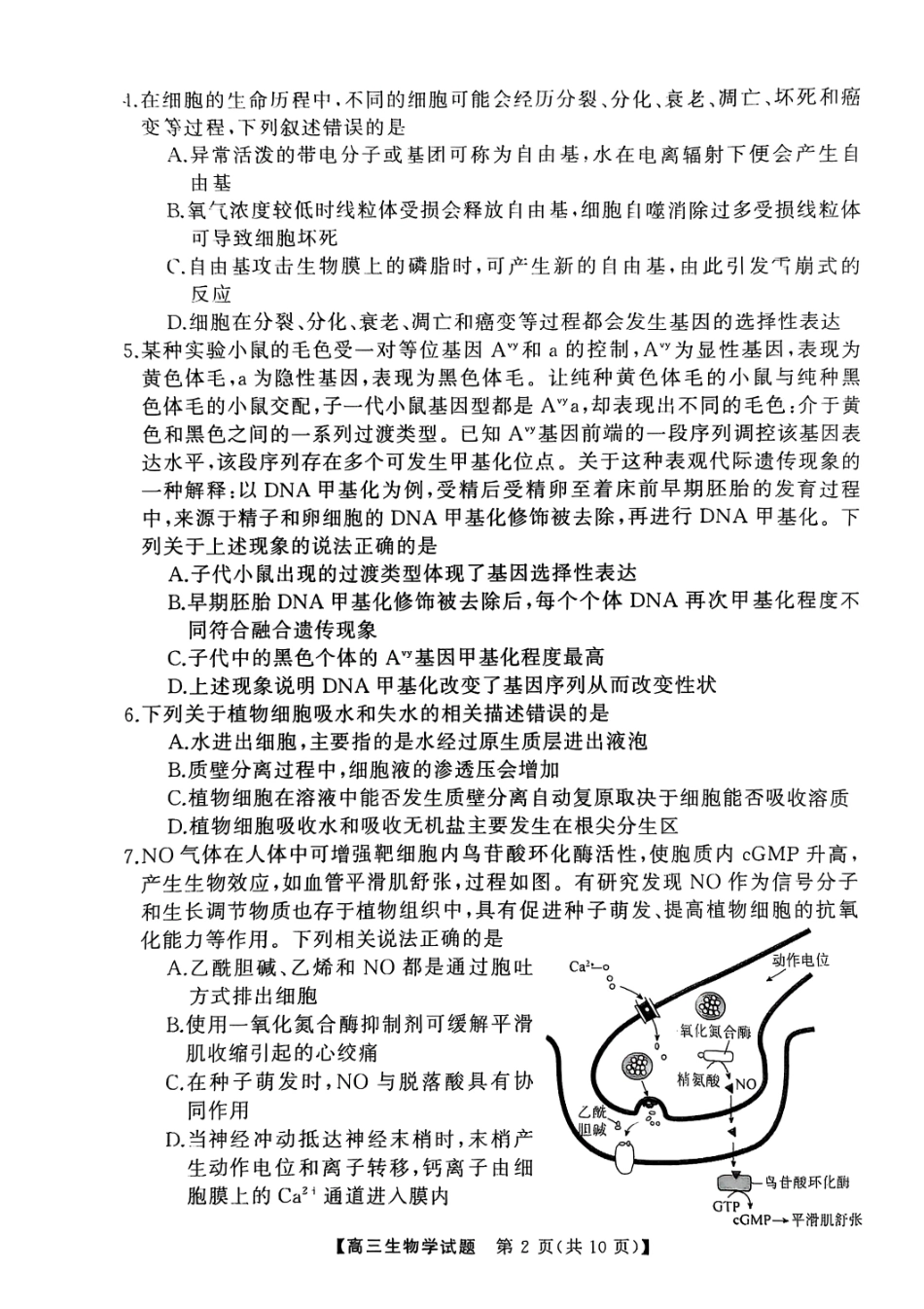 2025届湖南省永州市高考第二次模拟考试生物试卷 .pdf_第2页