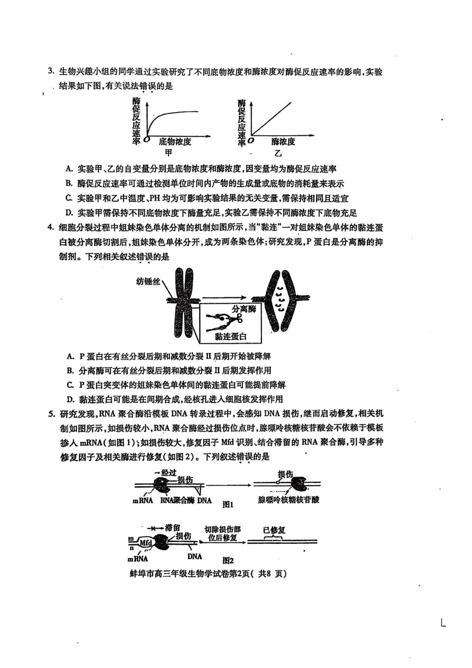 安徽省蚌埠市2025届高三上学期第一次教学质量检查考试（1月） 生物 PDF版含答案.pdf_第2页