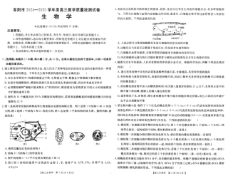 安徽省阜阳市2025届高三上学期教学质量统测生物试卷（含答案）.pdf