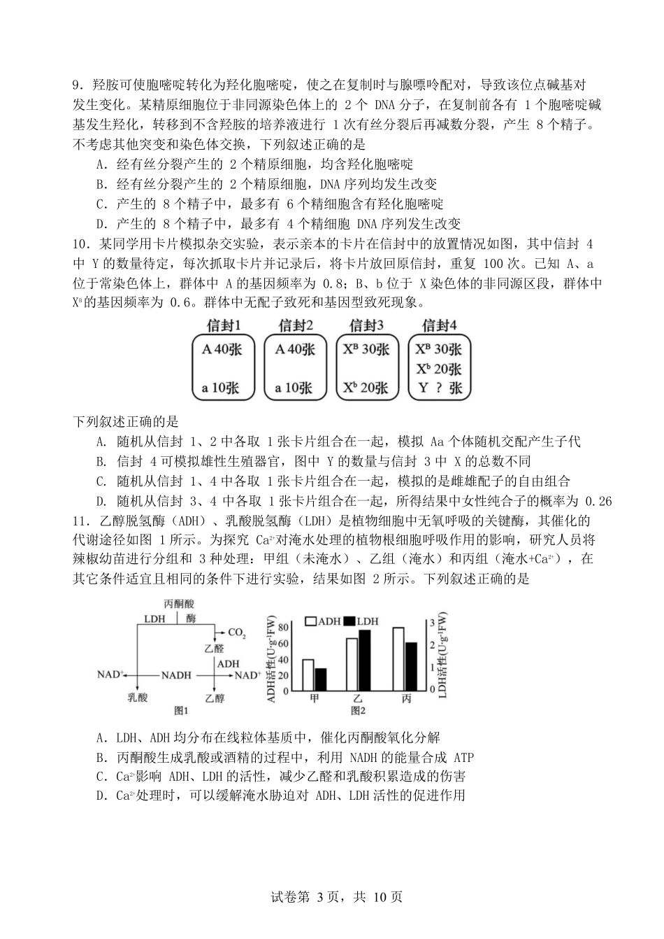 福建省厦门第一中学2024-2025学年高三12月月考生物+答案.docx_第3页