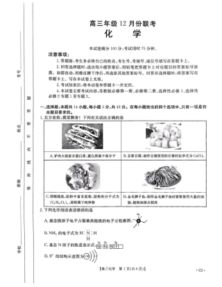 河北省保定市十县一中2025届高三上学期12月联考化学试卷（含答案）.pdf