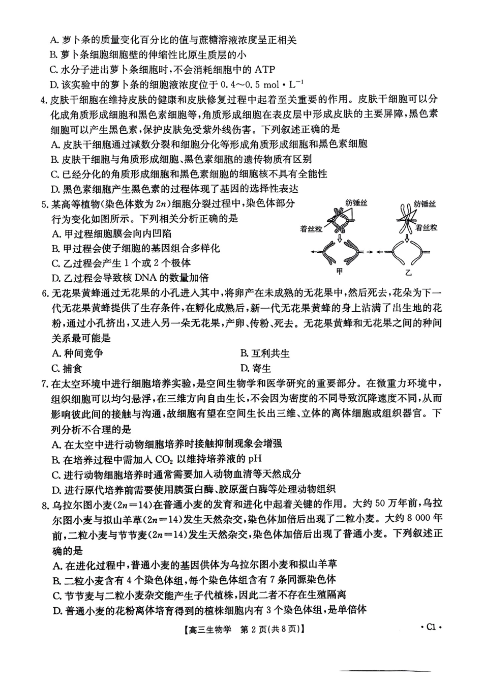 河北省邢台市金太阳2025届高三上学期12月联考生物.pdf_第2页