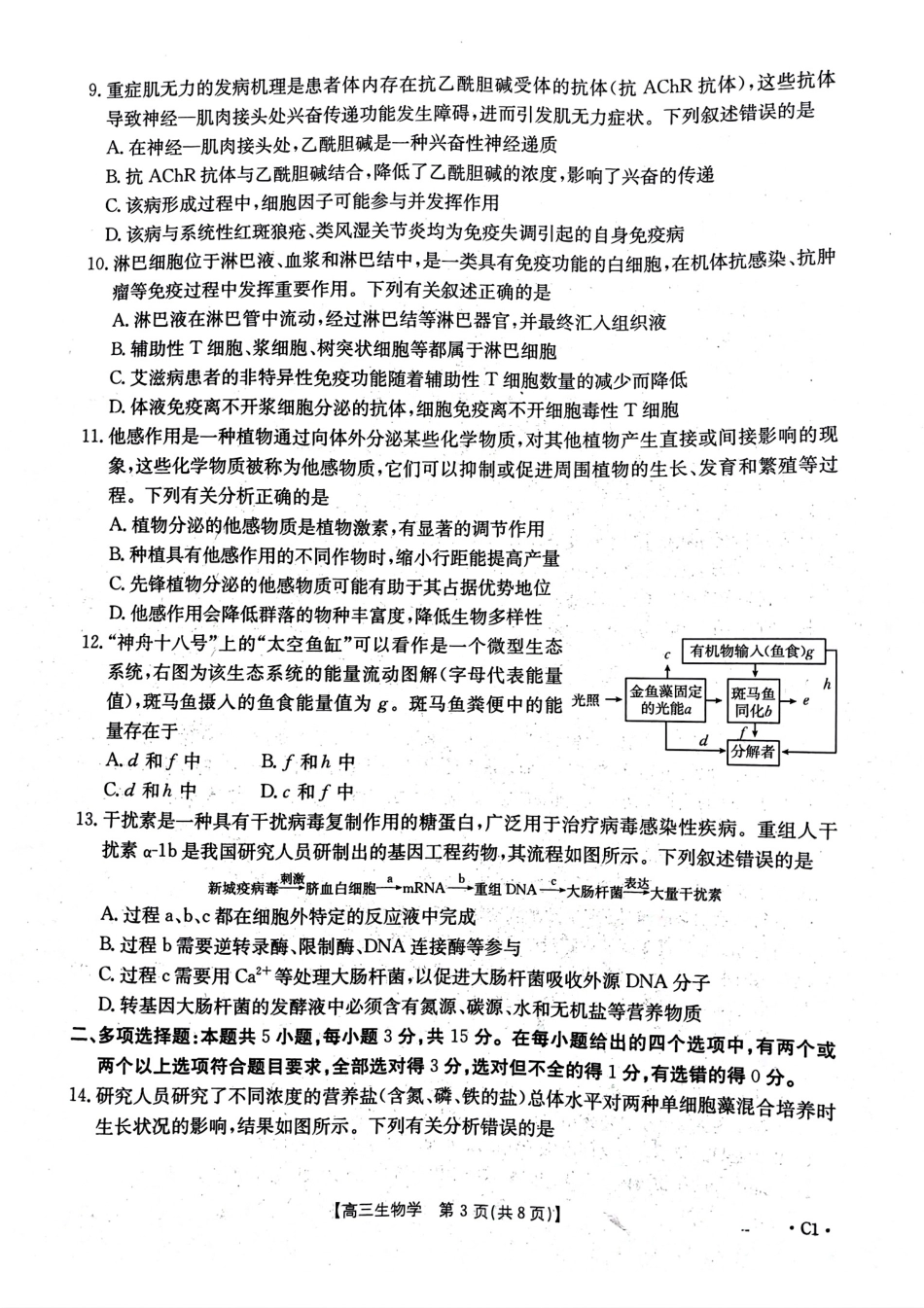 河北省邢台市金太阳2025届高三上学期12月联考生物.pdf_第3页