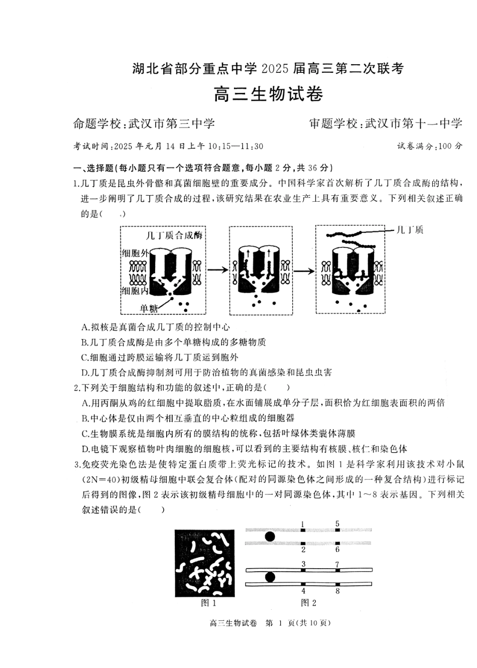 湖北省部分重点中学2025届高三第二次联考（全科）【生物试卷】.pdf_第1页