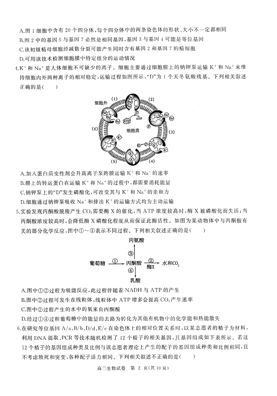 湖北省部分重点中学2025届高三第二次联考（全科）【生物试卷】.pdf_第2页