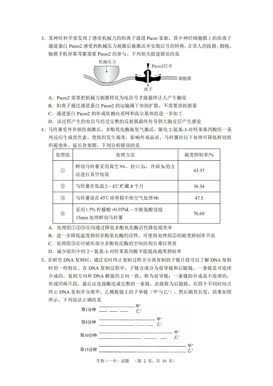 湖南省长沙市第一中学2025届高三上学期阶段性检测（五）生物试卷（含解析）.pdf_第2页