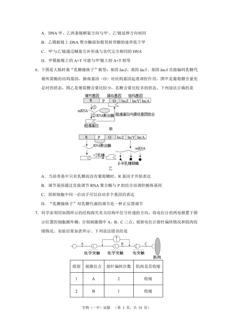 湖南省长沙市第一中学2025届高三上学期阶段性检测（五）生物试卷（含解析）.pdf_第3页