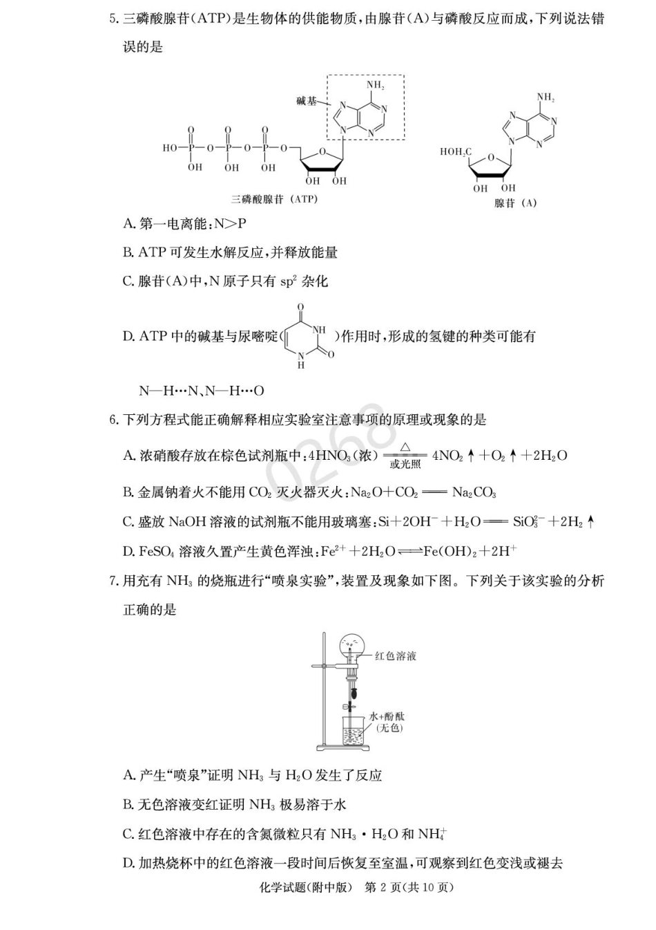 湖南省长沙市湖南师范大学附属中学2024-2025学年高三上学期第五次月考化学试卷+答案.pdf_第2页